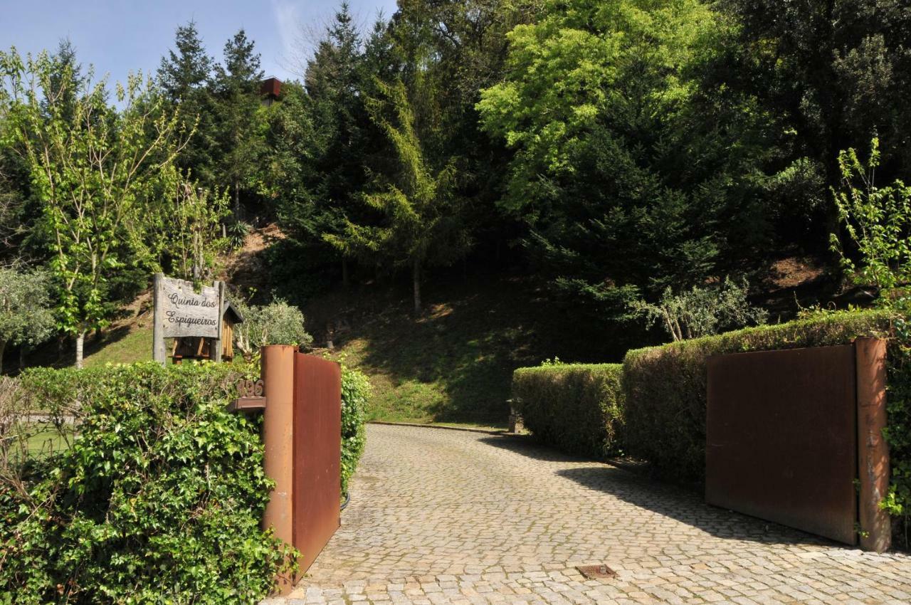Quinta Dos Espigueiros Vakantiehuis